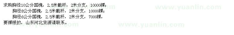 求購(gòu)6、8、10公分國(guó)槐