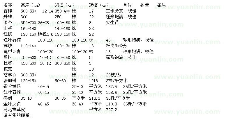 求購(gòu)香樟、丹桂、銀杏等