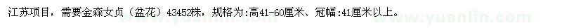 求購高41-60公分金森女貞