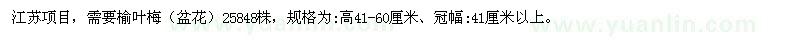 求購高41-60公分榆葉梅
