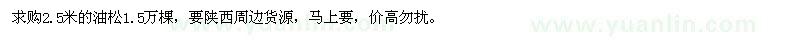 求購(gòu)2.5米油松