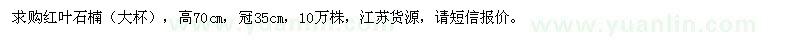 求購高70公分紅葉石楠（大杯）
