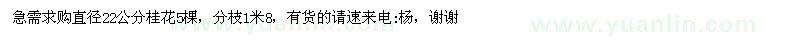求購直徑22公分桂花