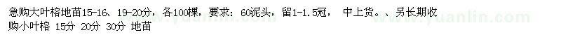 求購15-16、19-20公分大葉榕
