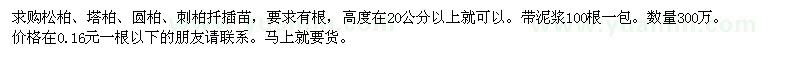 求購(gòu)松柏、塔柏、圓柏