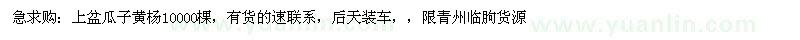 求購上盆瓜子黃楊