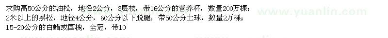 求購油松、黑松、白蠟