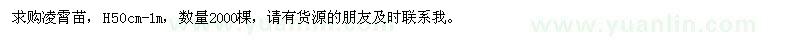 求購高50公分-1米凌霄苗