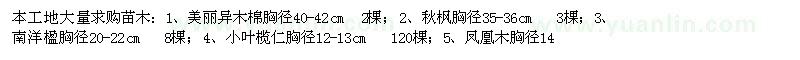 求購小葉欖仁、山茶花