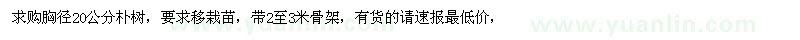 求購(gòu)胸徑20公分樸樹 