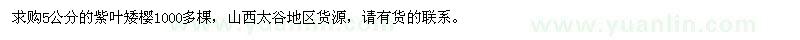 求購5公分紫葉矮櫻 