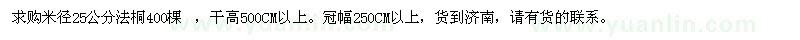 求購米徑25公分法桐
