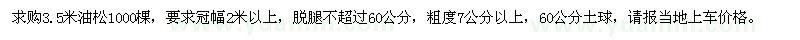 求購高3.5米油松