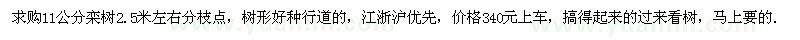 求購11公分欒樹