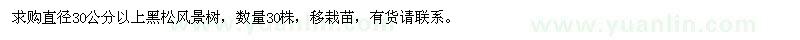 求購直徑30公分以上黑松