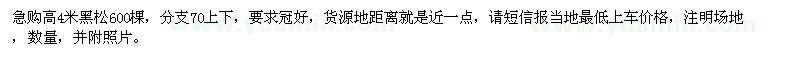 求購高4米黑松