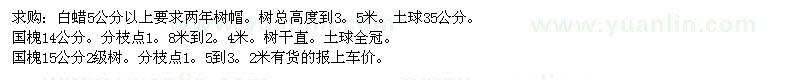 求購白蠟、國槐