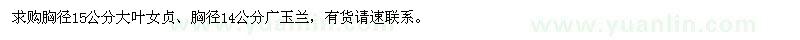 求購胸徑15公分大葉女貞、胸徑14公分廣玉蘭