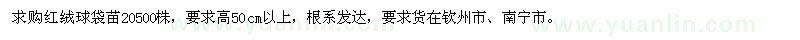 求購高50公分紅絨球袋苗