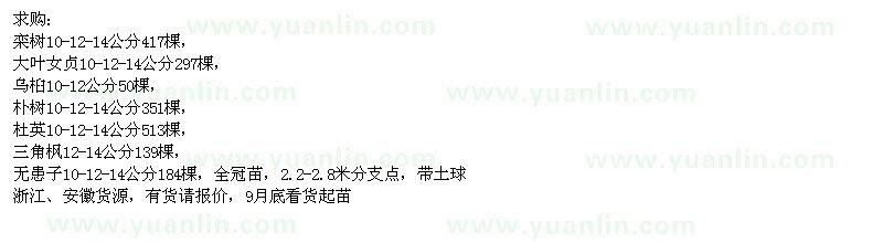 求購欒樹、大葉女貞、烏桕