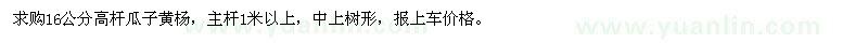 求購16公分高桿瓜子黃楊