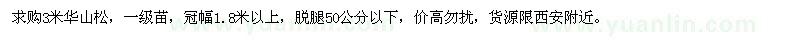 求購(gòu)3米華山松
