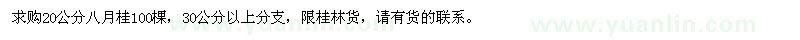 求購20公分八月桂