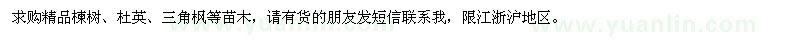 求購(gòu)精品楝樹、杜英、三角楓
