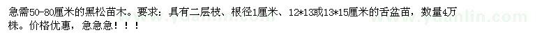 求購(gòu)50-80公分黑松