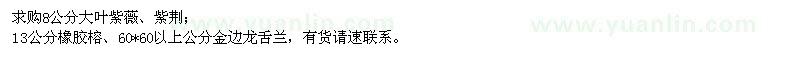 求購大葉紫薇、紫荊、橡膠榕
