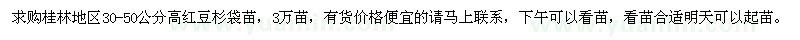 求購(gòu)高30-50公分紅豆杉袋苗