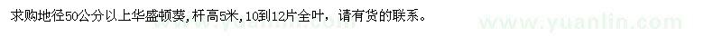 求購地徑50公分以上華盛頓葵
