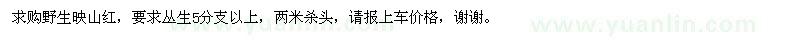 求購野生映山紅