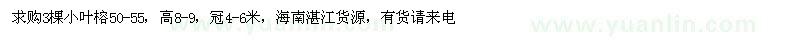 求購50-55公分小葉榕