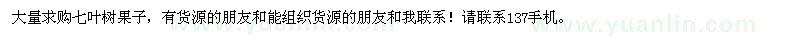 求購(gòu)七葉樹果子