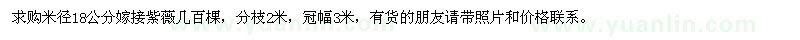 求購米徑18公分嫁接紫薇