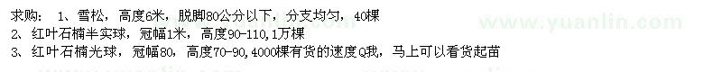求購(gòu)雪松、紅葉石楠