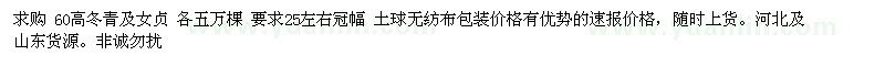 求購高60公分冬青、女貞