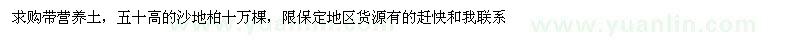 求購高50公分沙地柏