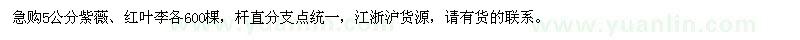 求購5公分紫薇、紅葉李