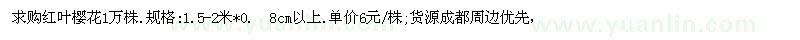 求購1.5-2米紅葉櫻花