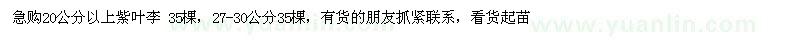 求購(gòu)20公分以上紫葉李