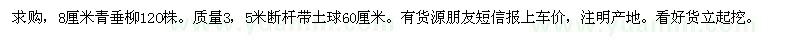 求購8公分青垂柳