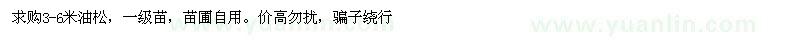 求購3-6米油松