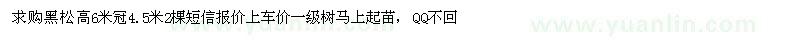 求購高6米黑松