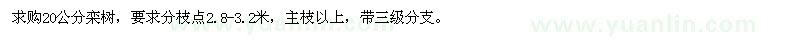 求購20公分欒樹