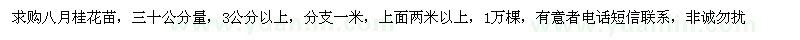 求購(gòu)3公分以上八月桂花苗