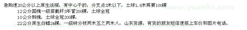 求購法桐、國槐、刺槐、白蠟