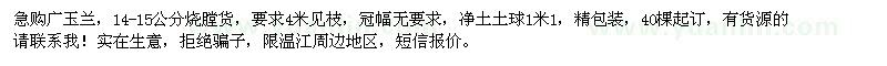 求購14-15公分廣玉蘭