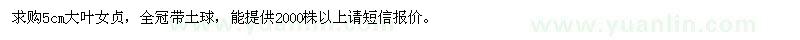 求購5公分大葉女貞